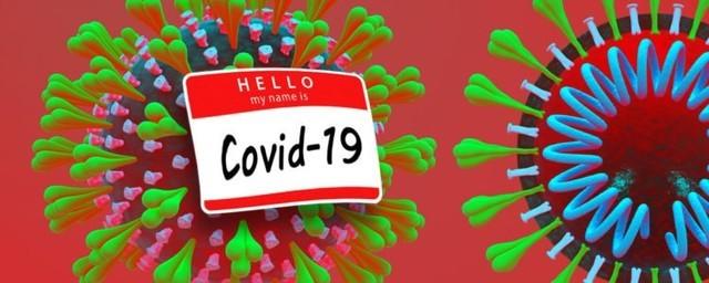 covid是冠状病毒的英文词组缩写,起含义为"co"代表corona(冠状),"vi"