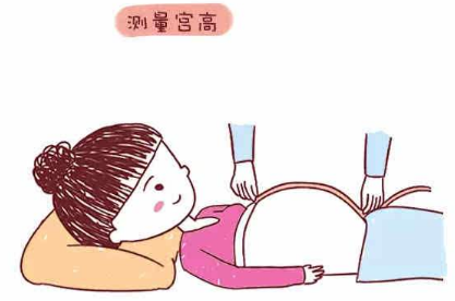 测量宫高前需要排空小便