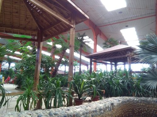 金孔雀温泉欢乐水世界