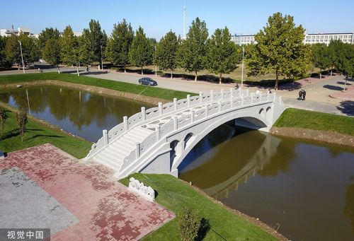 创世界纪录!这所高校打印了座"赵州桥"