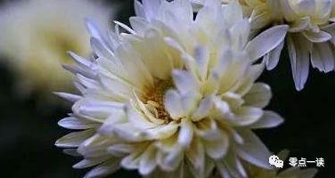 中元节怀念我逝去的亲人愿你们在天堂一切都好