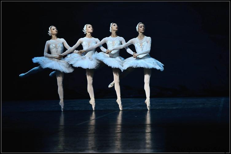 俄罗斯芭蕾舞团天鹅湖剧照