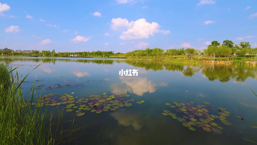 海龙湖_海龙湖景区_假日citywalk_出行_人文风光展示