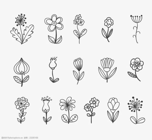 关键词:细条简笔画小花朵 细线条 简笔画 小花朵 手绘 铅笔画 设计