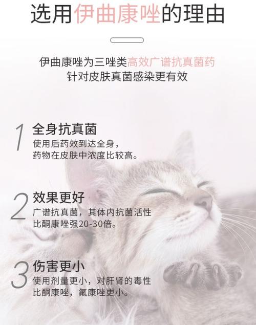 伊曲康唑猫狗内服猫癣狗癣专用药7颗 真菌皮肤药结痂皮屑脱毛皮屑脓皮
