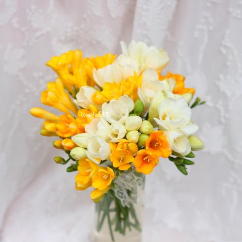 小苍兰鲜花香雪兰新鲜插花香味风铃花洋桔梗茉莉花六出花洋甘菊