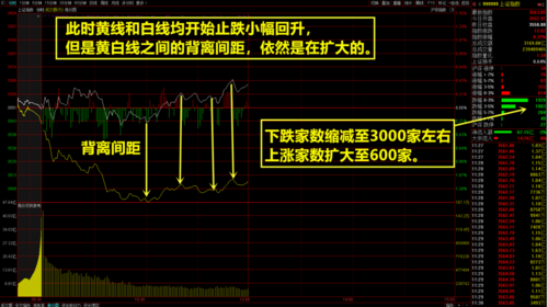 【股票手册】第三讲:一九分化,黄白线分家背后的深刻含义