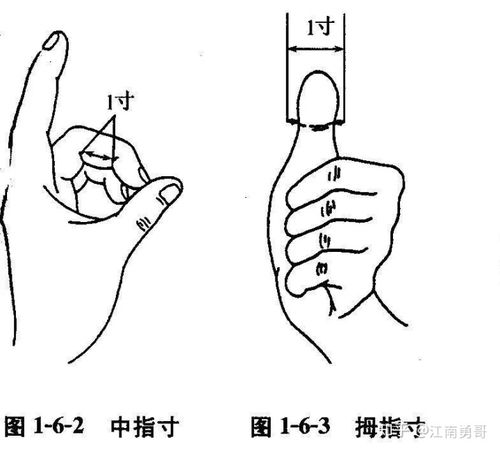 主要有骨度和指寸法两种,临床多指后者,如中指同身寸,拇指同身寸,横指