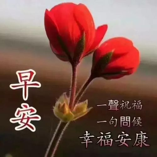 愿你一生永远幸福安康