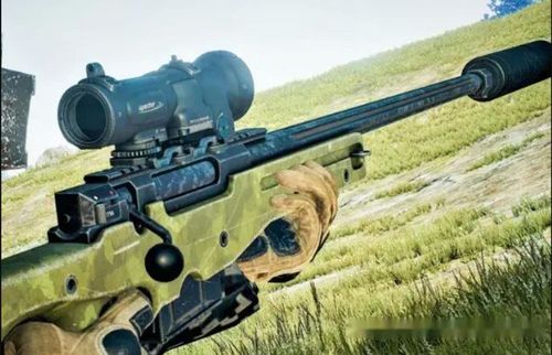 黑龙江村民河边发现awm狙击枪,还搜出了子弹,吃鸡玩家不淡定了