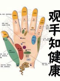 手对应的脏腑