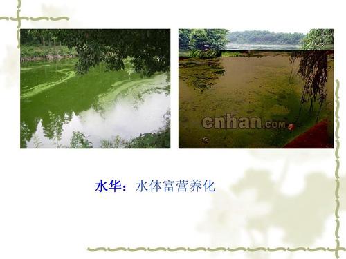 水华:水体富营养化