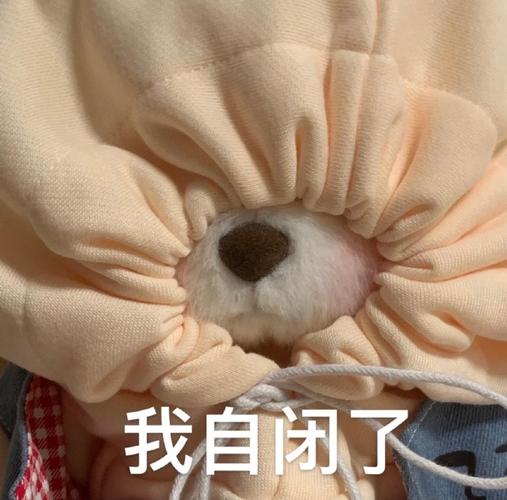 表情包无水印#,#搞笑表情包#  超可爱的莉娜熊表情包