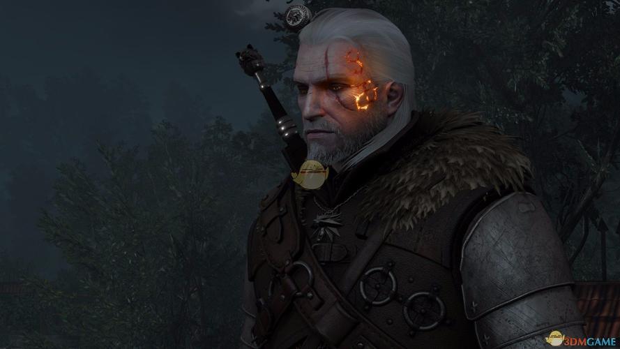 《巫师3:狂猎》杰洛特脸部印记发光mod