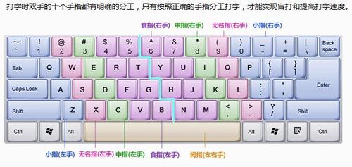 1)要学好打字,就一定要练习标准指法.