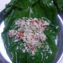 君达菜猪婆菜包