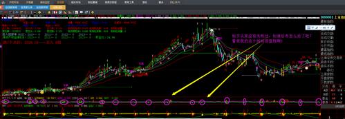 股票数据猫 资金图 股票猫图
