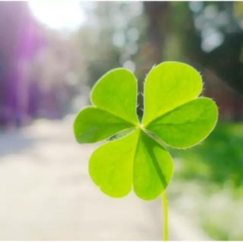 气质女王长裙唯美女生头像