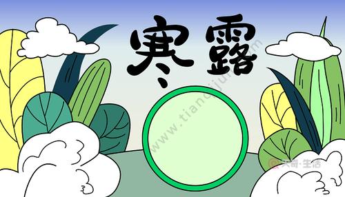 有关寒露节气的手抄报