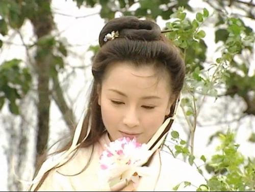 袁洁莹,人龙传说,赵敏,黎姿