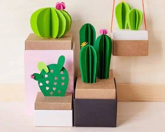 仙人掌适合放在卧室里吗?晚上也可以吗?