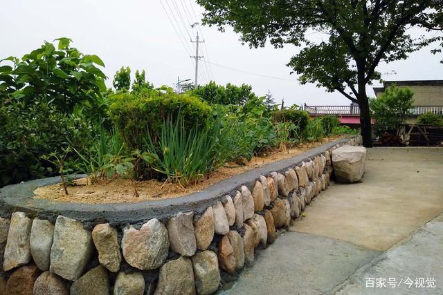 山村房前屋后建造花池,村民在里面不种花,看种的是啥