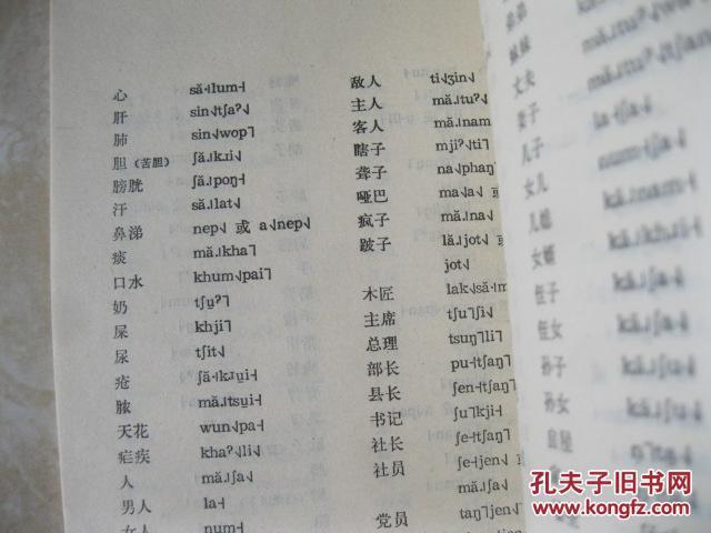 景颇族语言简志 景颇语