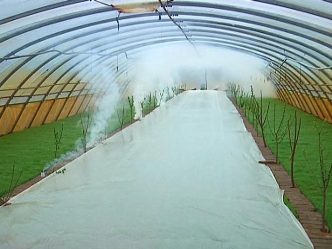 水稻育秧大棚防雪防大风和防低温肇源农技人员一线支招儿