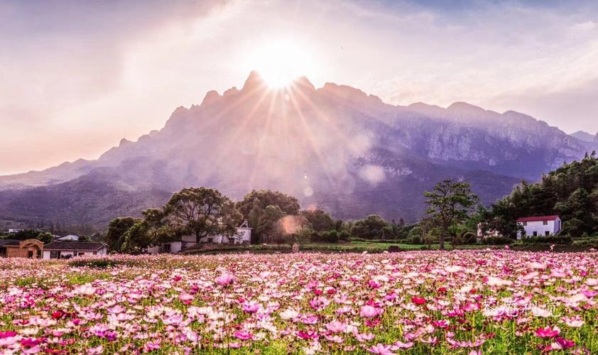 同程首页 景区门票 江西景区门票 九江景区门票 > 庐山鄱湖湾门票及