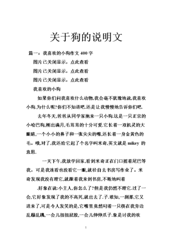 关于狗的说明文.doc