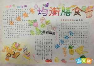 生物早餐午餐晚餐手抄报 营养早餐手抄报