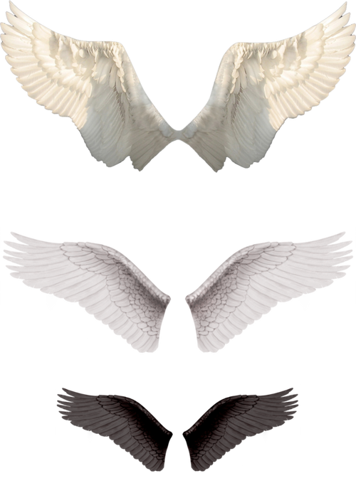 天使的翅膀素材##png#免扣