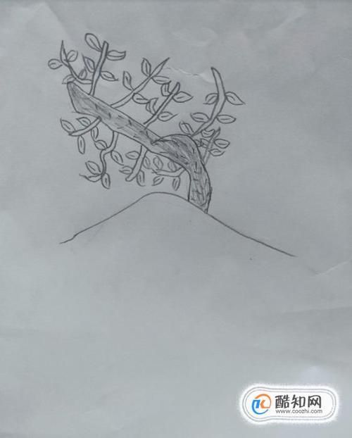 怎么画桂花树?优质