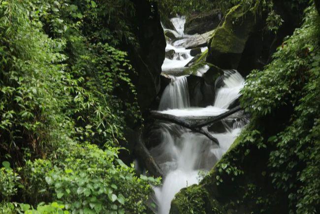 cop15镇沅金山丫口