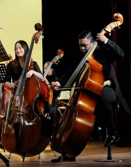 低音提琴,声音如同爷爷的厚重感《斗牛士之歌》演唱:陈晓东旅法青年男