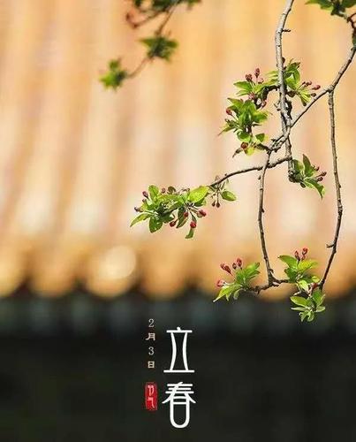 立春的含义是什么意思立春有三种意思你知道吗