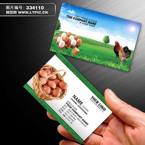 鸡蛋名片(图片编号:334110)_养鸡场名片_畜牧业名片_原创名片_靓图网