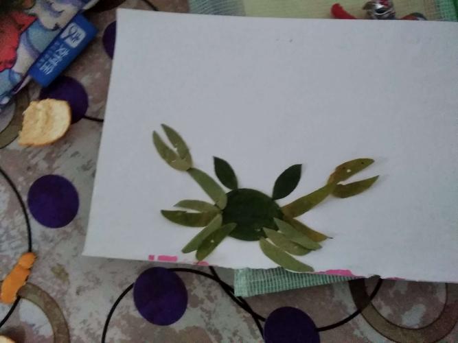 这是我用我收获到的树叶做成的树叶画