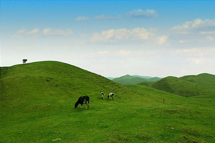 ﻿湖南南山国家公园