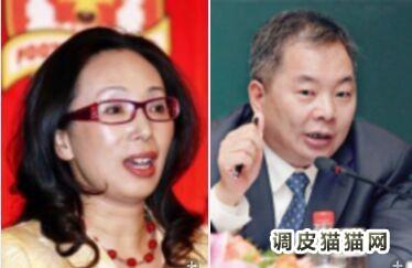 绿城宋卫平妻子简历 图 宋卫平的老婆照片