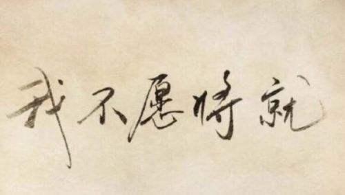 经典文章我单身因为我不愿将就