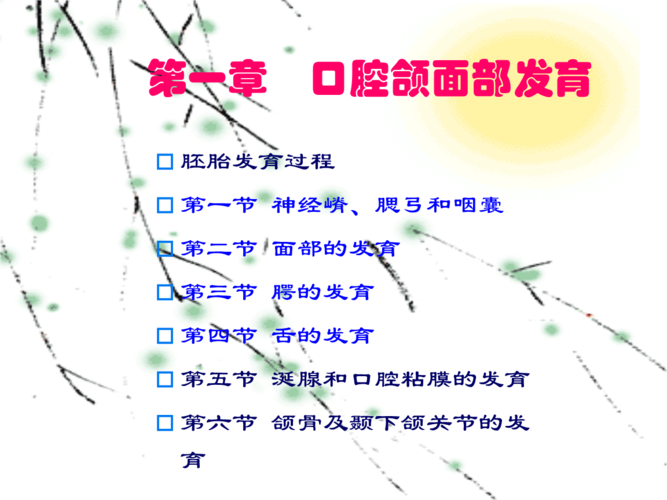 口腔颌面部发育-上交大《口腔组织病理学》精品课.ppt
