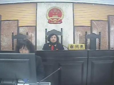 被告人孙淑芬故意伤害一案