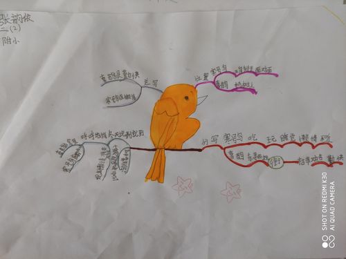 《寒号鸟》思维导图