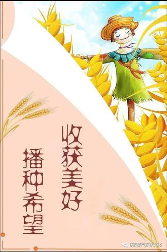 芒种|收获美好 播种希望的时节