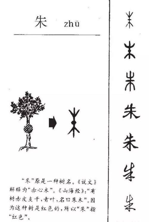 朱的来历,朱的演变,朱的意思,朱的写法,朱的谜语!您懂吗?