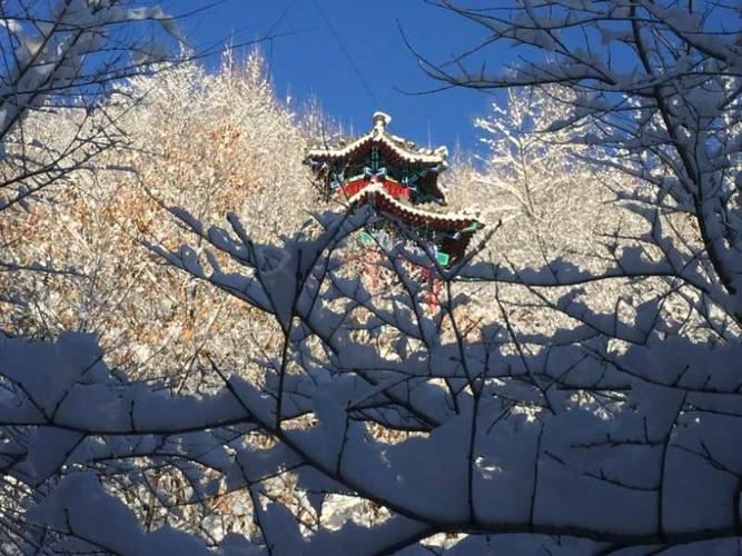 北国之春雪景无限好