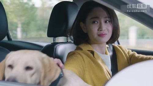 《警花与警犬》梦莎人气急升 结局感情揭秘