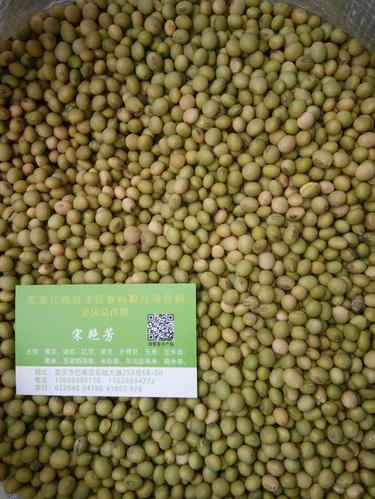 青黄豆 生大豆 1等品