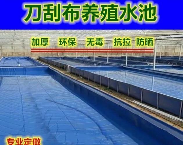 鱼池大型庭院塑料大型帆布水池养殖用加厚刀刮布蚂蟥蓄水池水箱